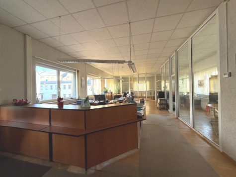 Wohn- & Geschäftshaus in der Innenstadt der Studentenstadt Mittweida – 4 Wohnungen – Büro-/Lagergebäude – 4 Garagen – Wohnfläche ca. 300 m² – Gewerbefläche ca. 500 m², 09648 Mittweida, Mehrfamilienhaus